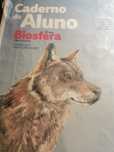 Conj. (6) Cadernos de Atividades 5°ano