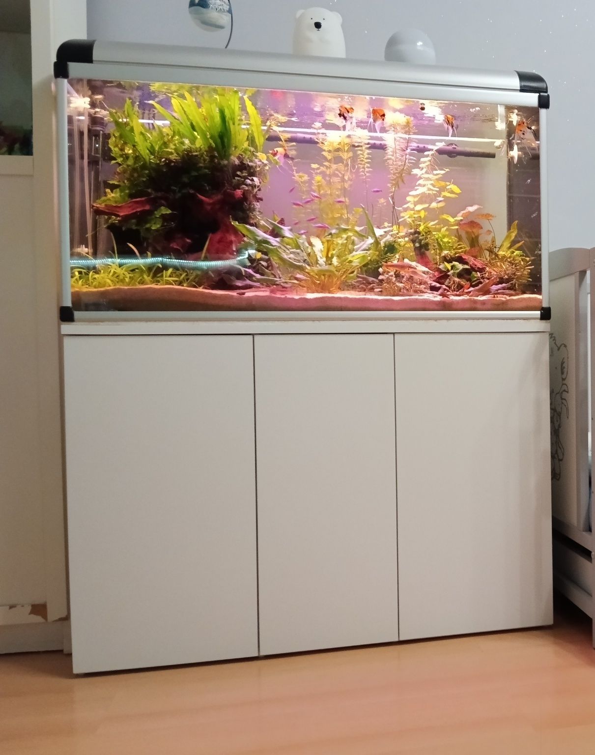 Akwarium 200l cały zestaw