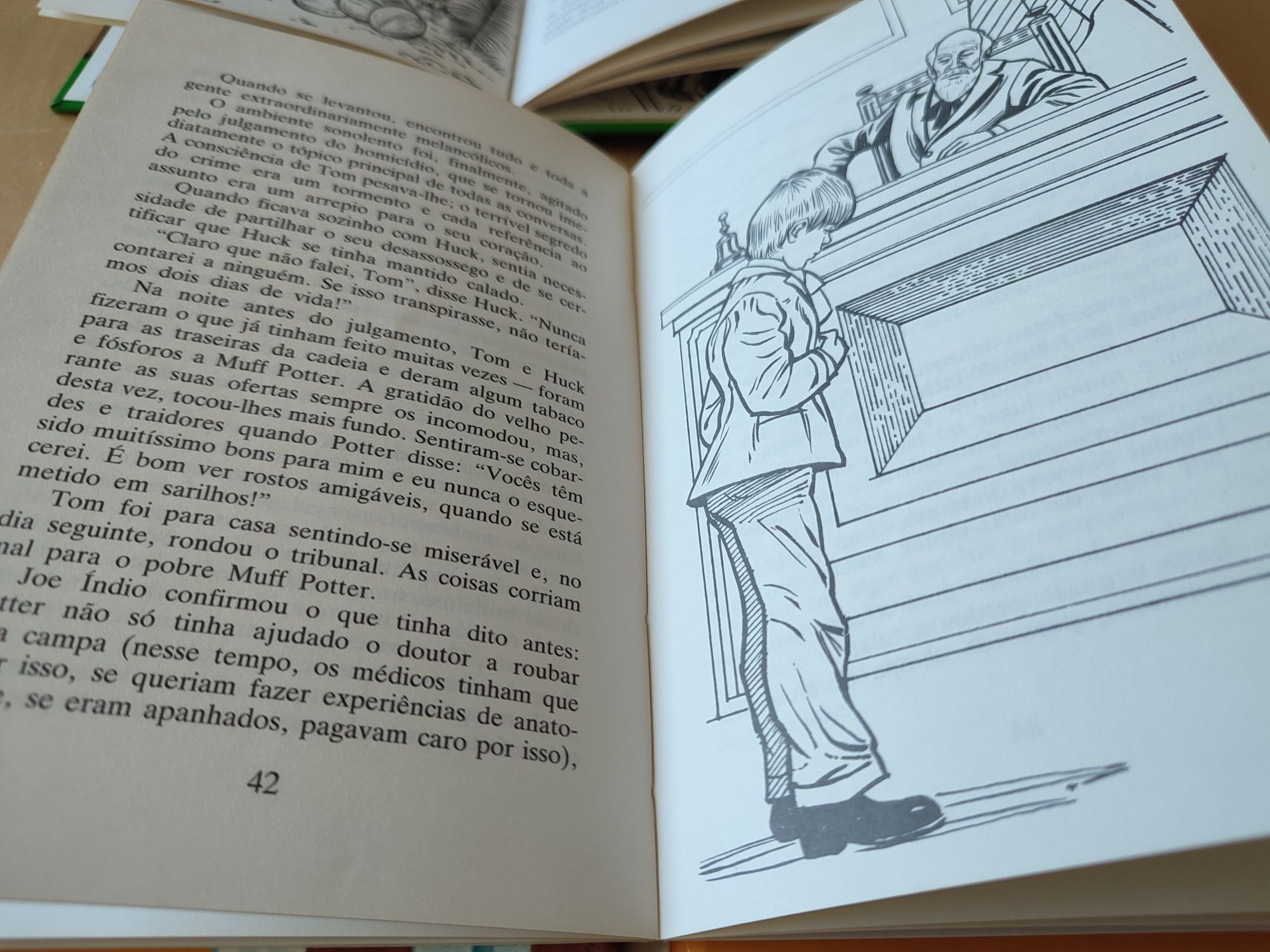 Livros juvenis 12 anos