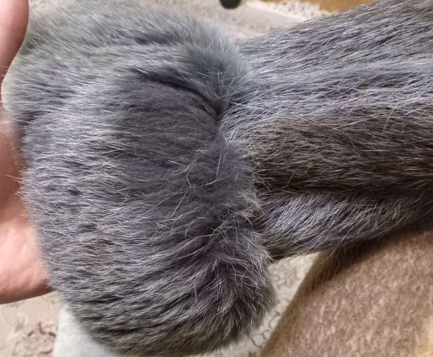 Шуба з хутра єнота 50-54 р