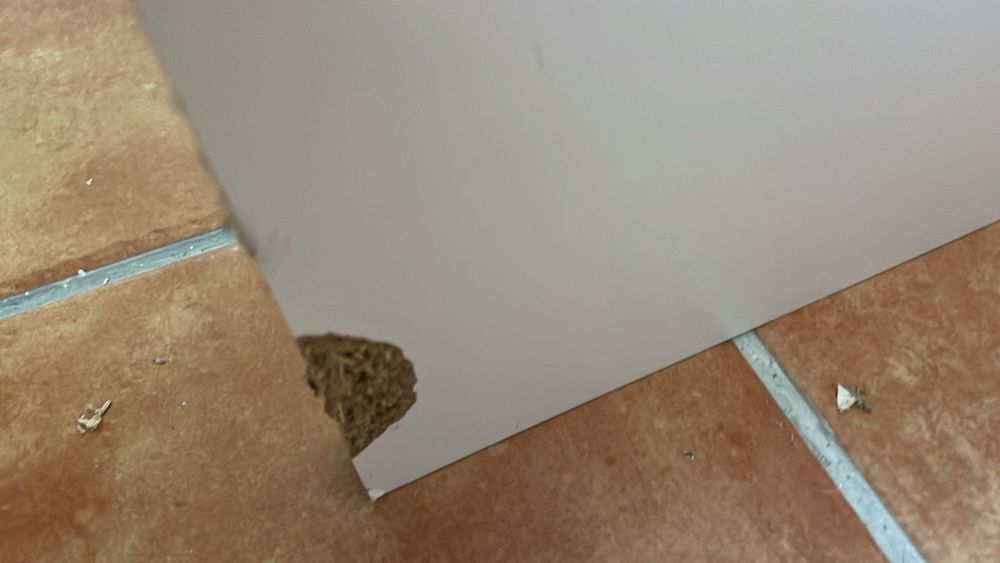 Cama criança / solteiro URGENTE