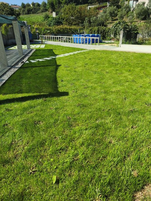 Serviços jardinagem