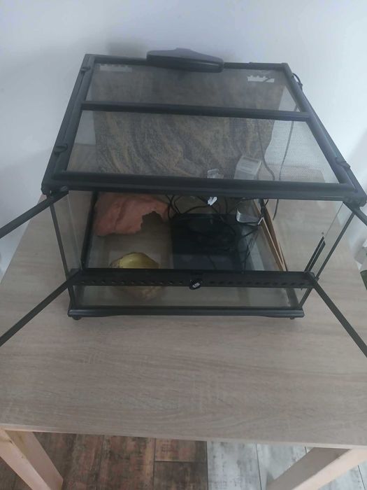 Terrarium typowo dla Gekona