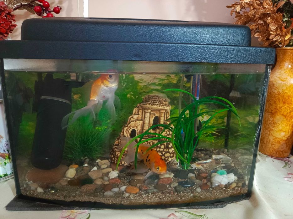 Sprzedam akwarium