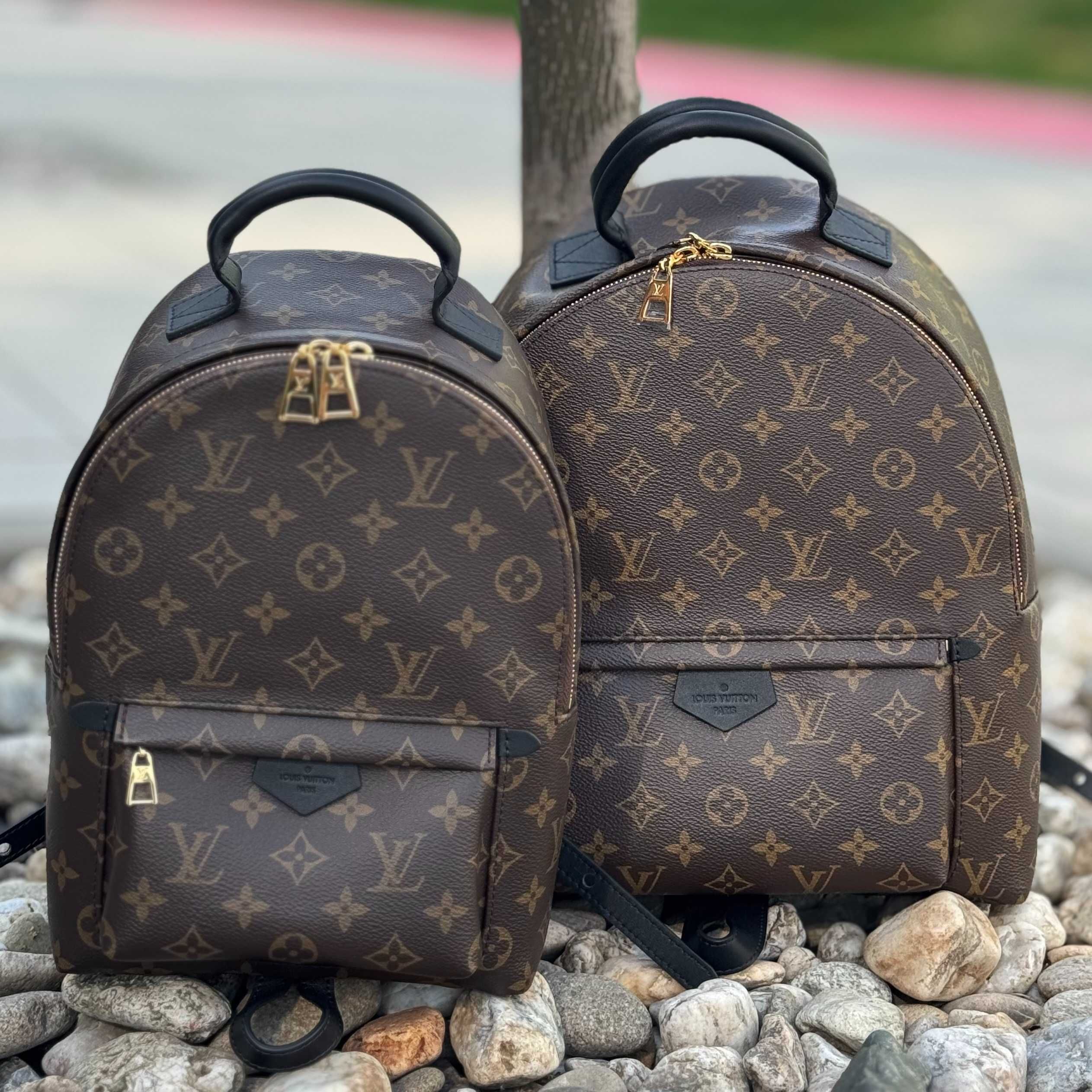 Женский рюкзак Louis Vuitton Palm Springs Backpack