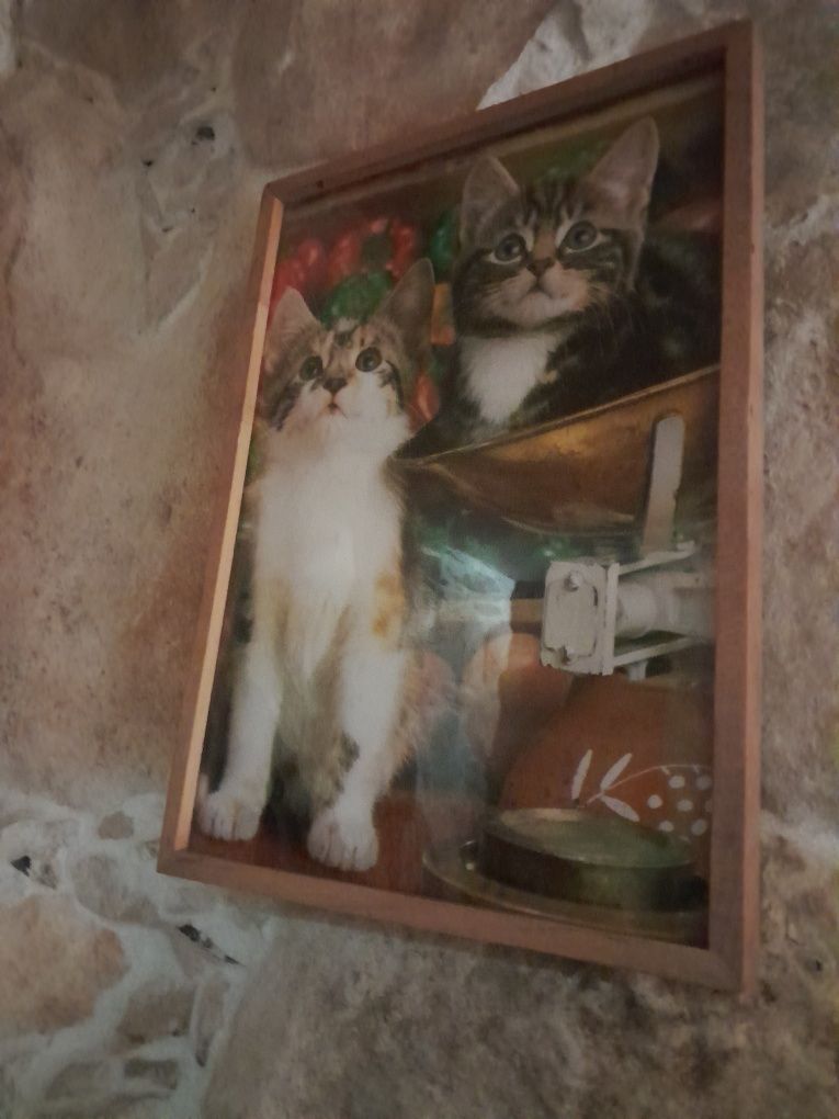 Quadro rustico com gatos / moldura em madeira