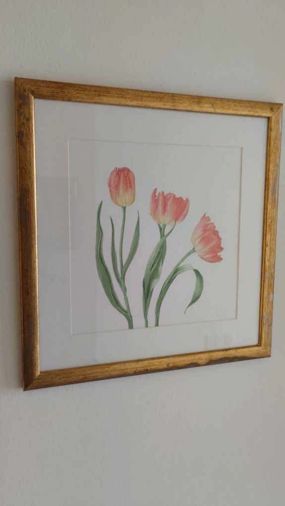 Quadro ' Tulipas