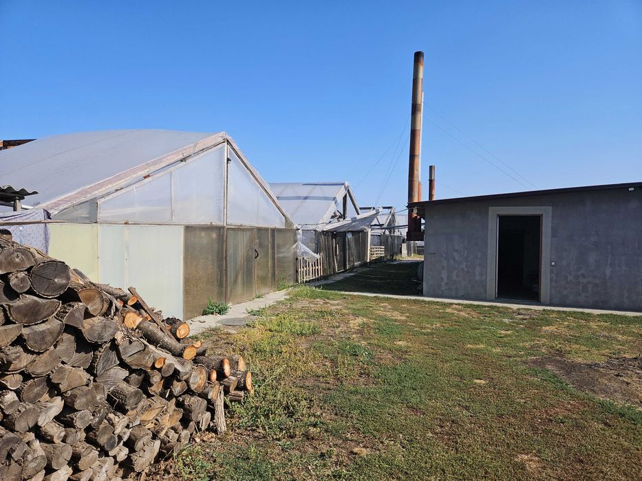 Продаж  будинку і готового бізнесу з ділянкою на 100 соток,