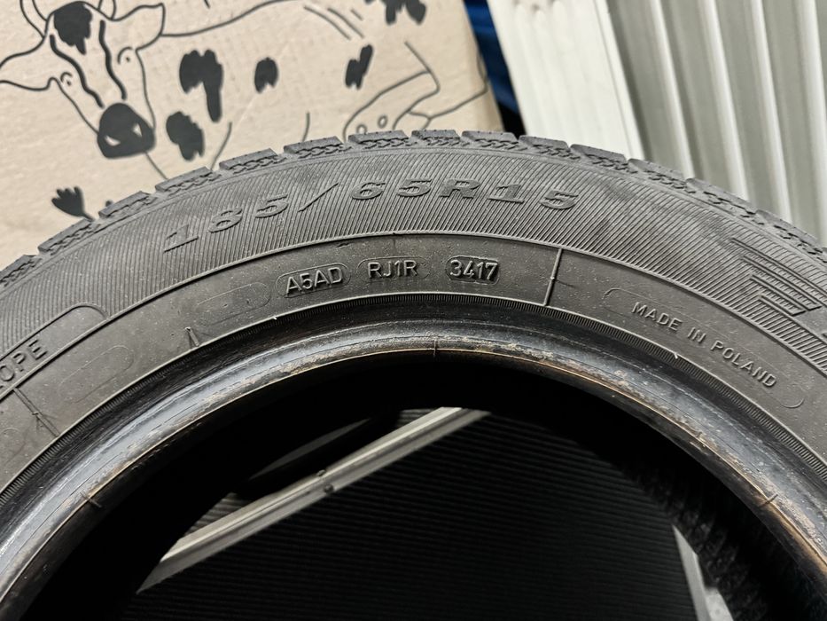 Debica  frigo2 185 65 15 Зима