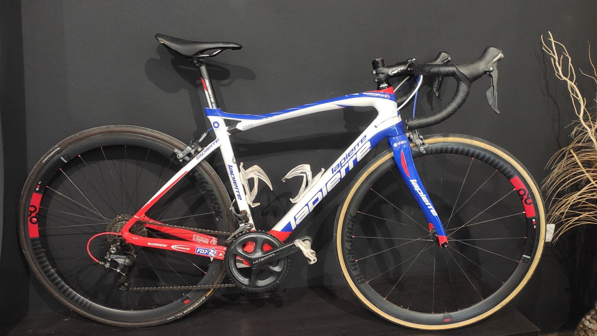 Lapierre Pulsium FDJ Team