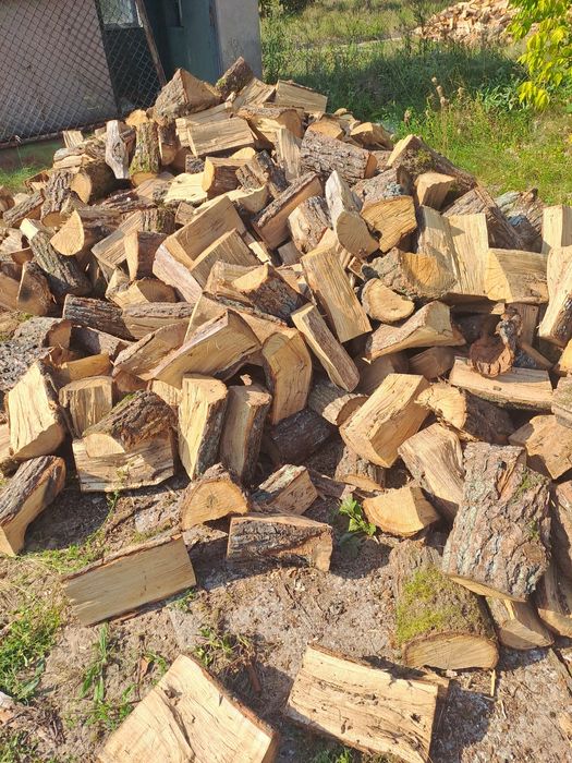 Sprzedam drewno opałowe/kominkowe