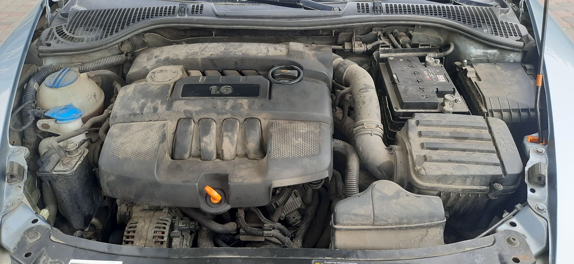 Шкода Октавія Skoda Oktavia