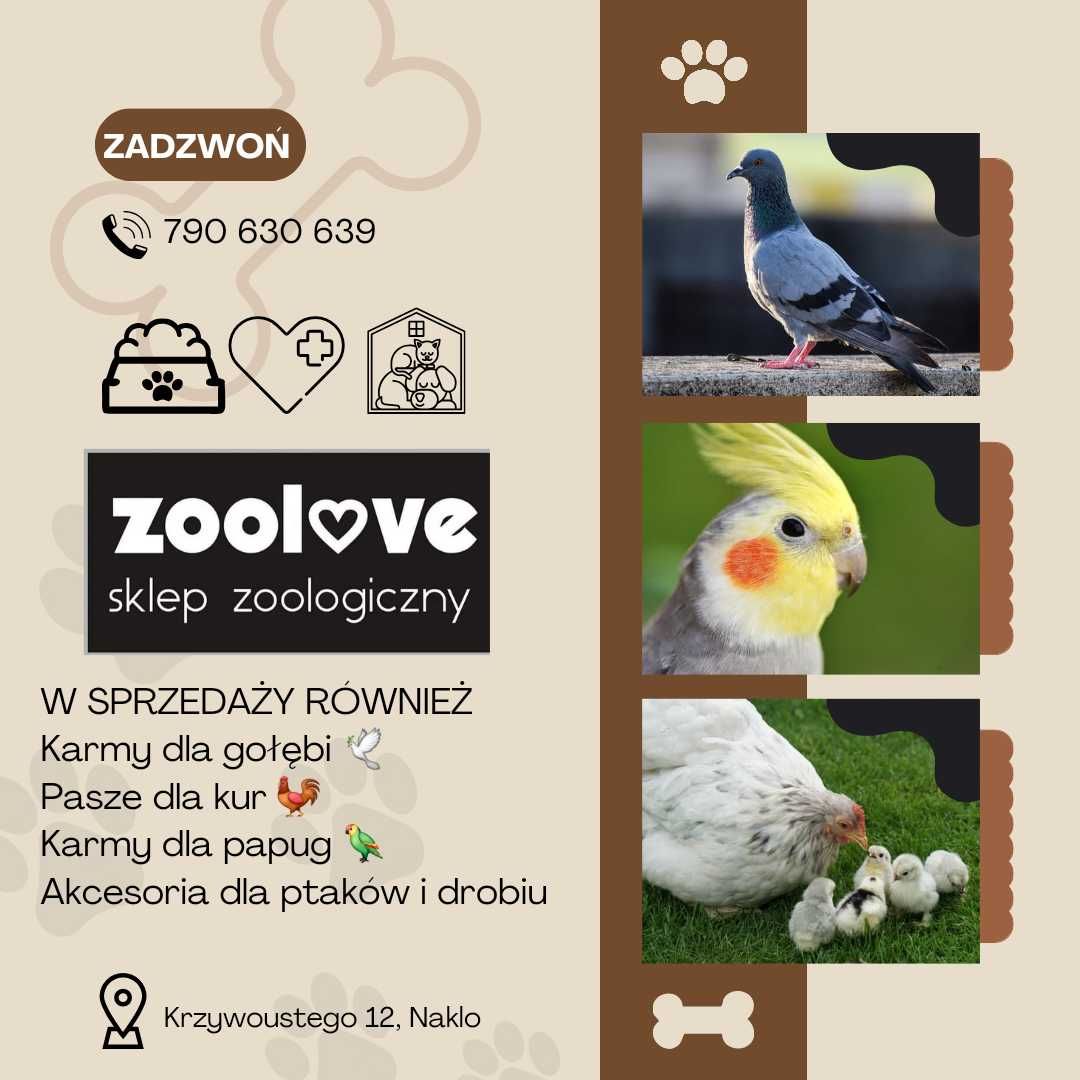 Bobik zanęta wedkarska dla gołębi całe ziarno