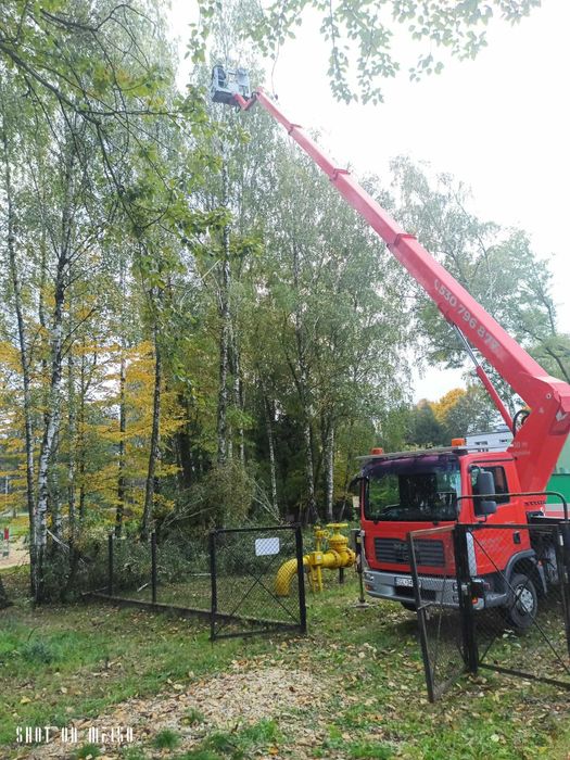 Podnośnik koszowy zwyzka wycinka pielęgnacja frezowanie