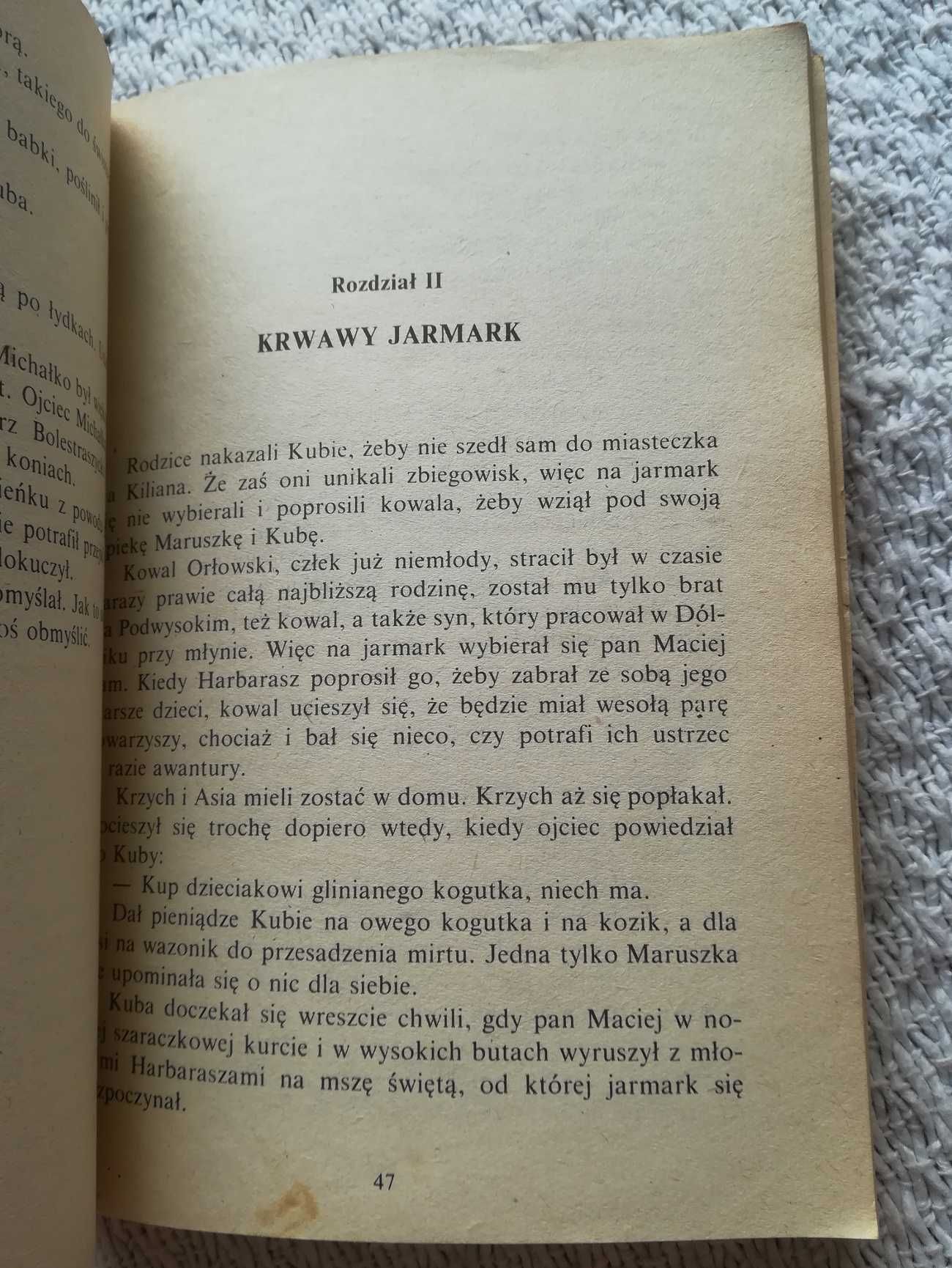 „Hetman Kuba” Maria Niklewiczowa