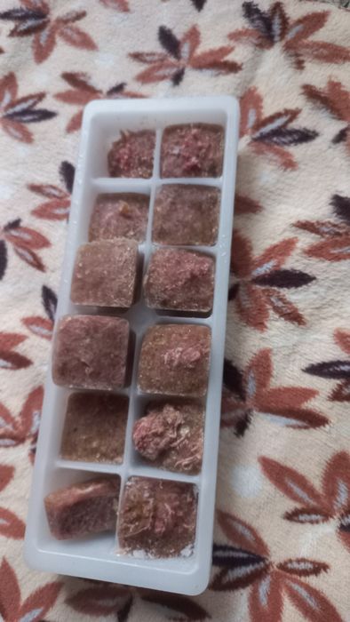 Живий та заморожений корм для акваріумних мешканців