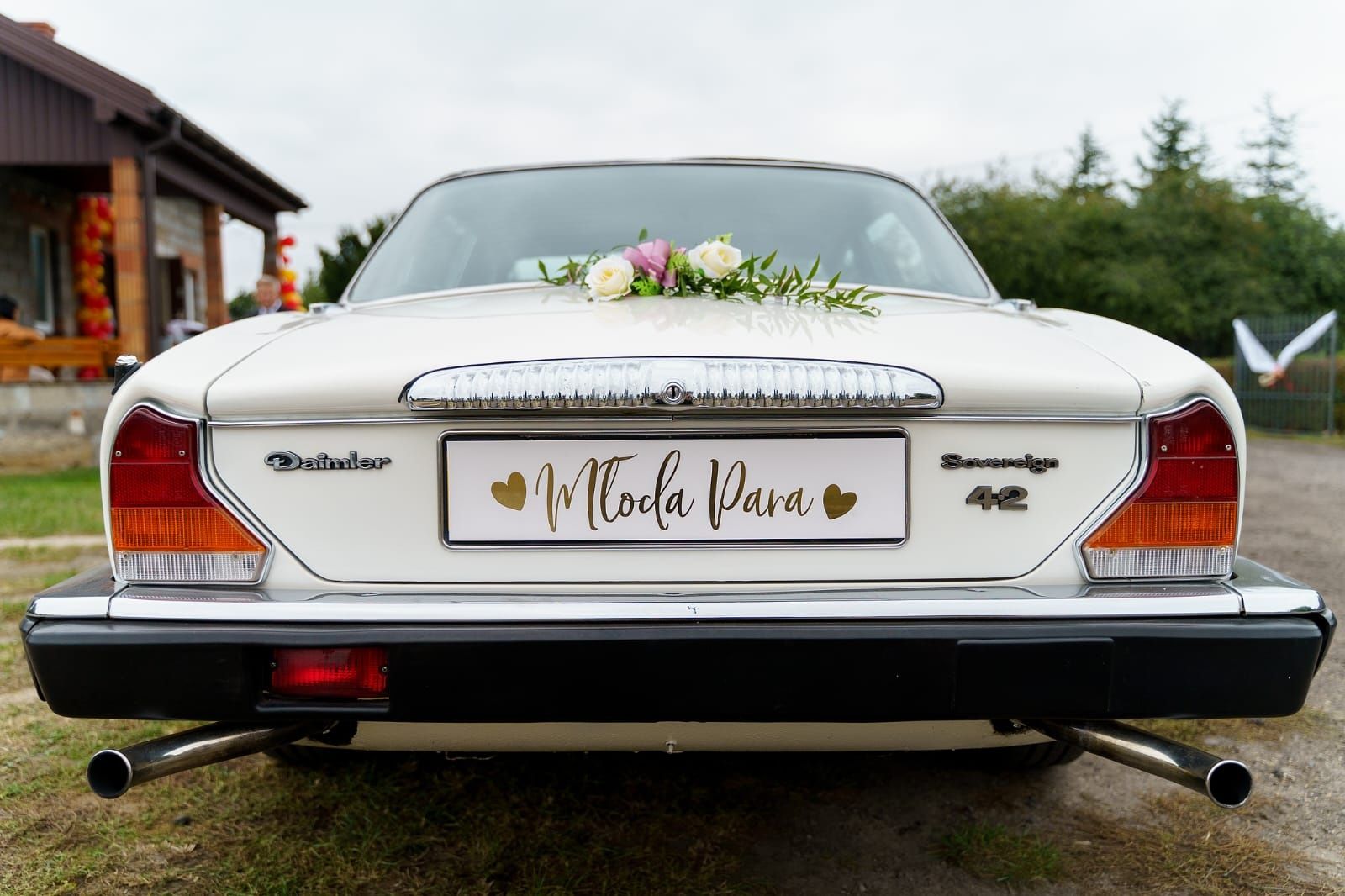 Jaguar klasyczne auto na wesela i inne okazje