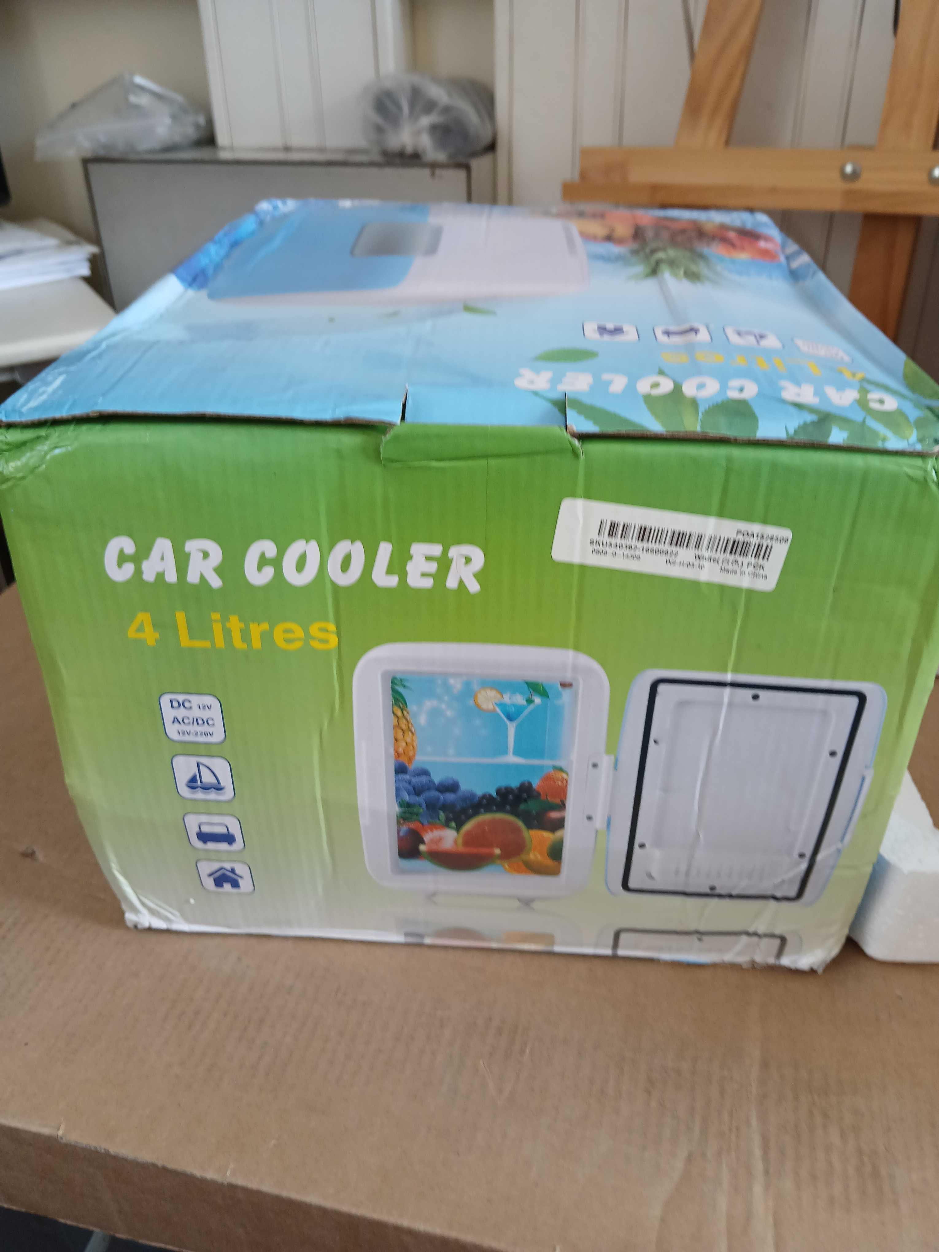 Mini Frigorifico de Carro