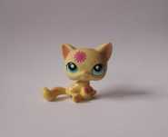 Kot shorthair Littlest Pet Shop lps