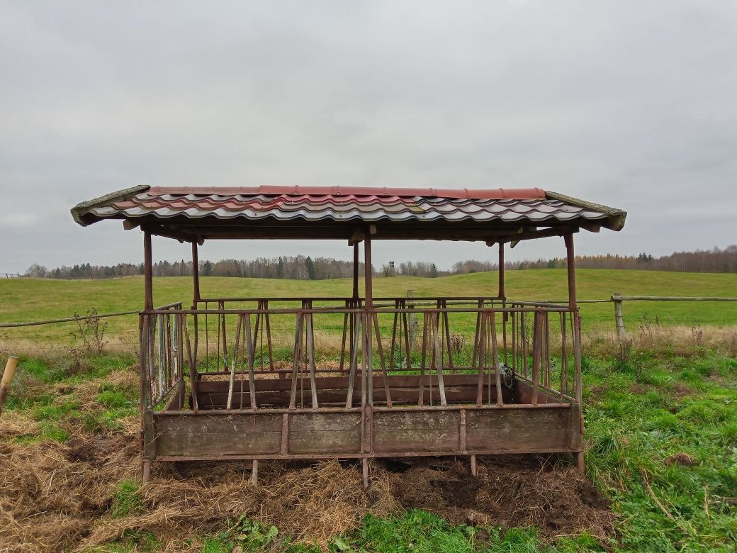 Paśnik dla Bydła Karmnik Na Bele