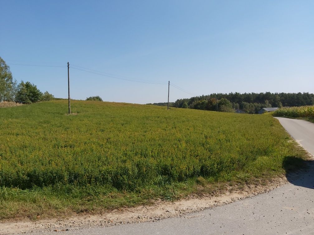 Działka siedliskowa 6060 m2