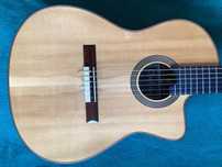 Gitara Cordoba FS14