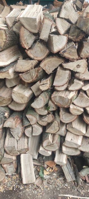 Drewno kominkowe opałowe, darmowy transport