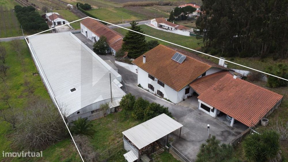 Armazéns com moradia em Alcobaça para investimento