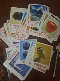 Картки Домана (рос.мова)