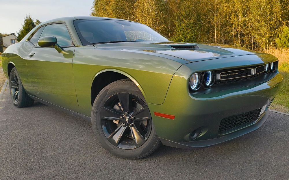 Dodge Challenger CHALLENGER  3.6  2019  F8 green