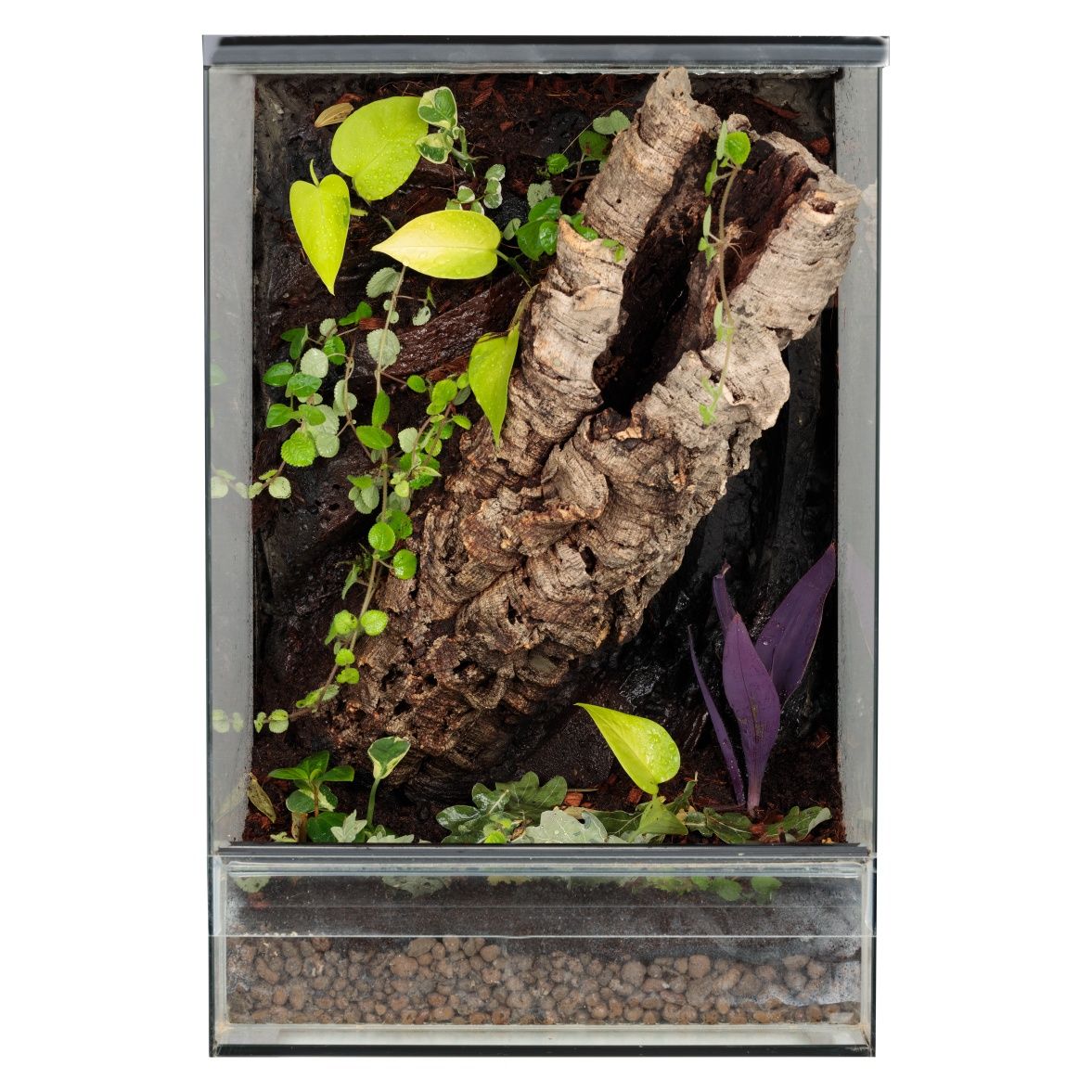 Terrarium paludarium vivarium