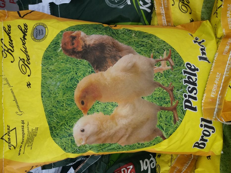 Karma dla kur i kurczaków 10kg. WOŁOMIN