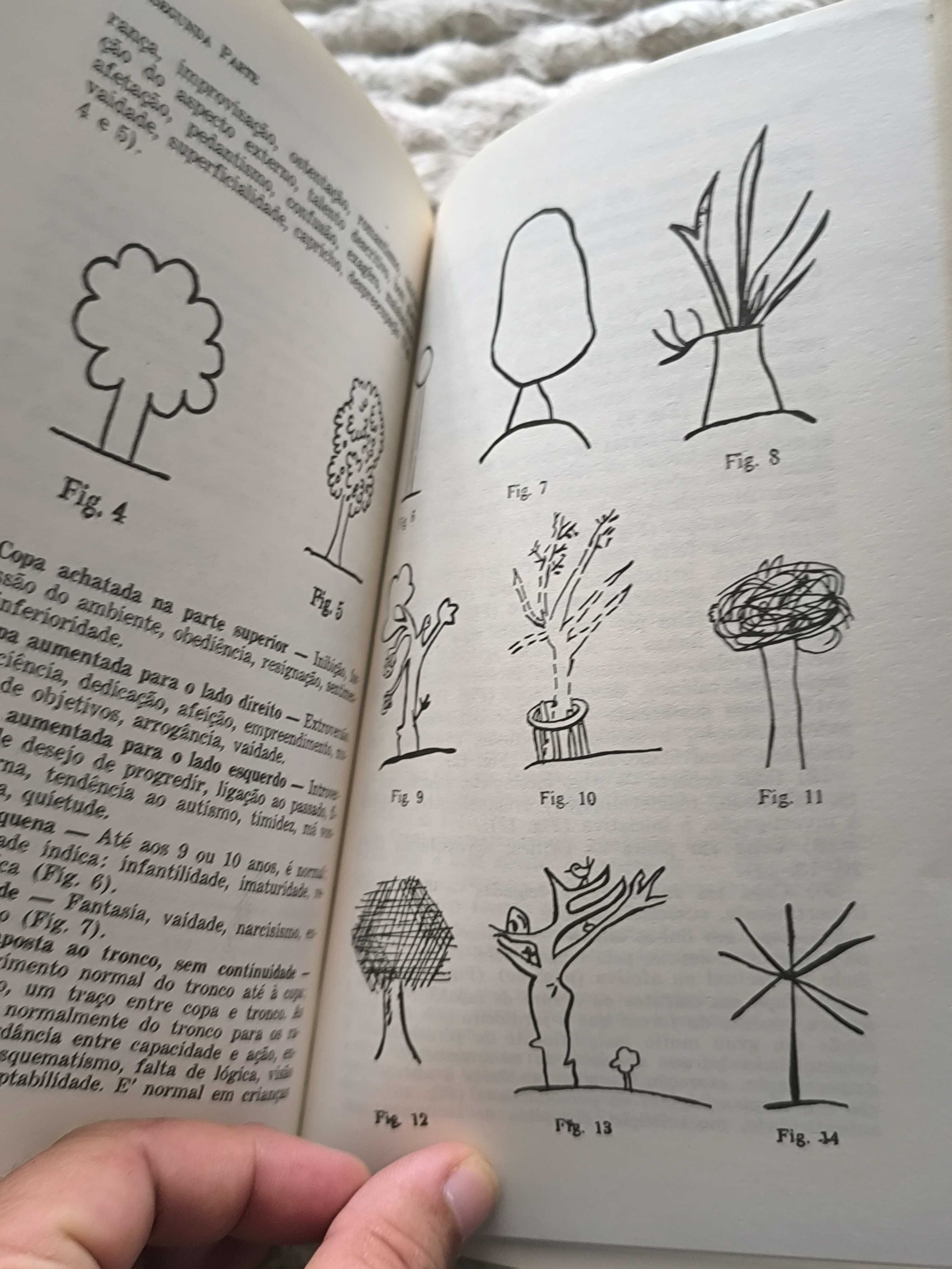 O Teste do Desenho como Instrumento de Diagnóstico
Validade aplicação