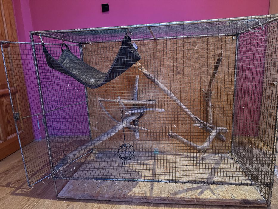 Klatka woliera wiewiórka