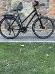 Rower Stevens Primera