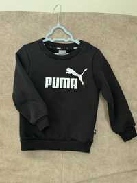 Світшот puma