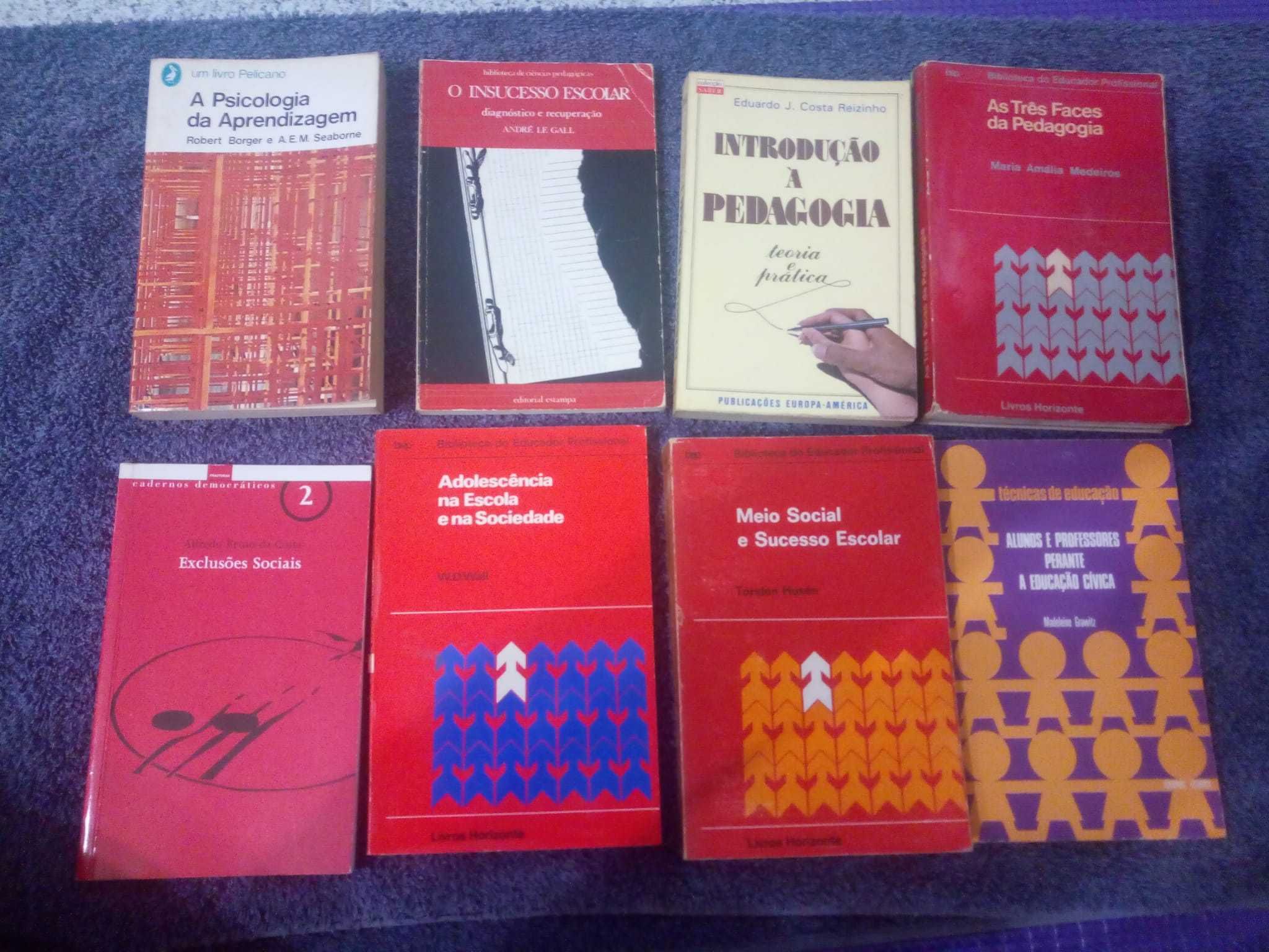 Conjunto livros pedagogia ensino formação professores