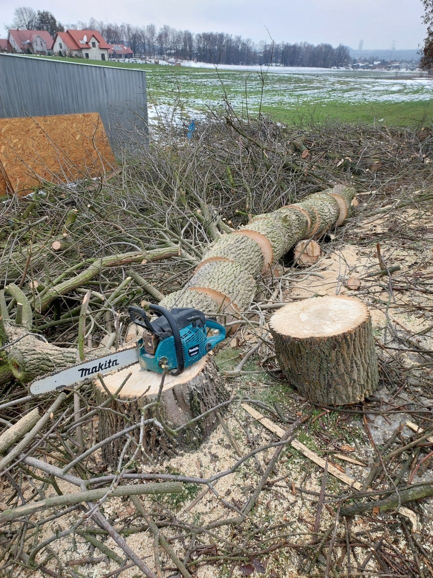 Wycinka drzew trudnych karczowanie działek usługi rębakiem