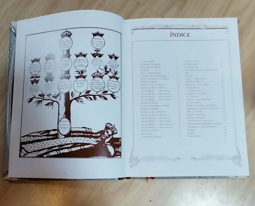 Livro antigo A história da nossa família