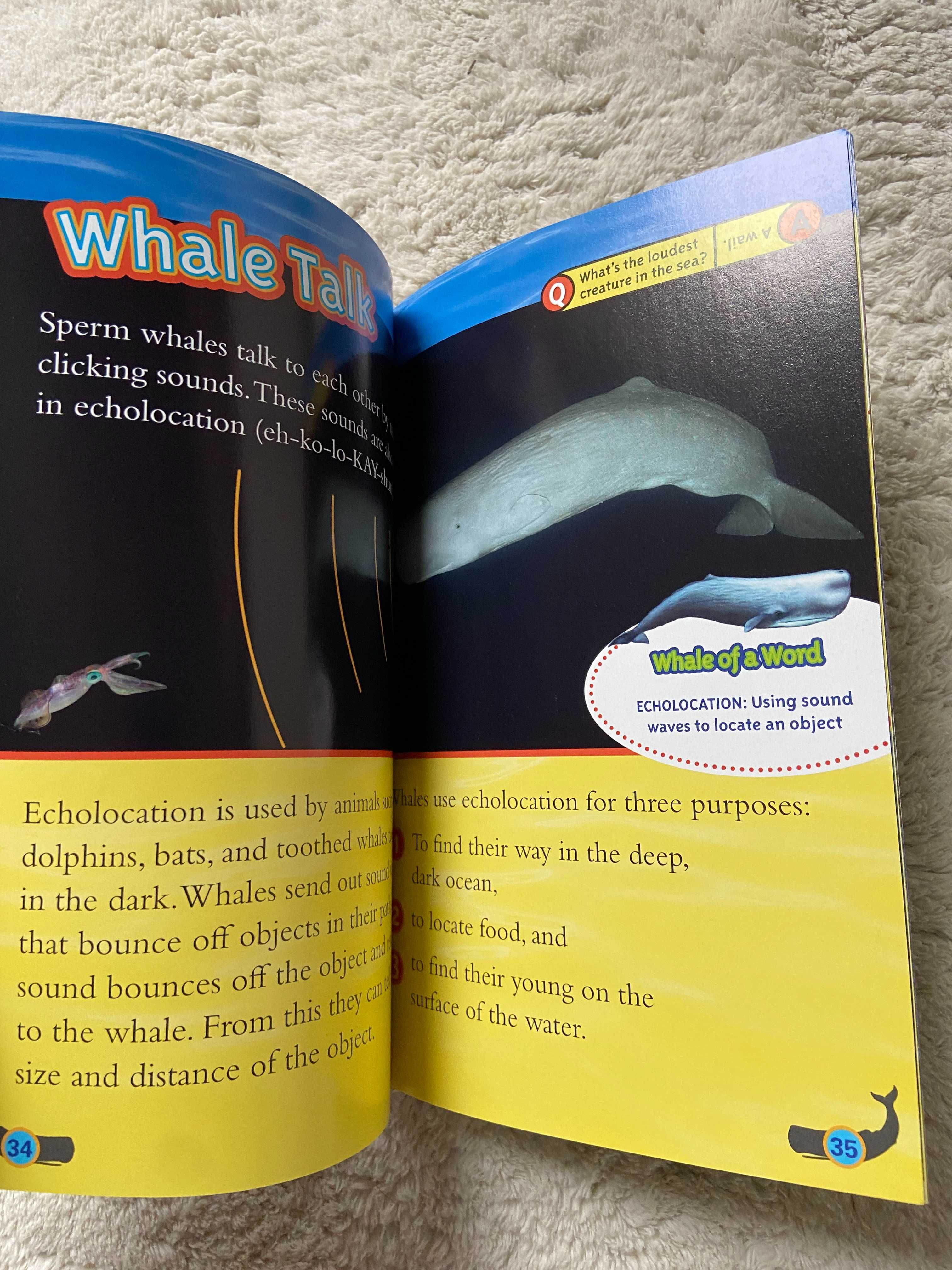 Seria 3 National Geographic Pyramids L1 Coral Reefs L2 Whales L3