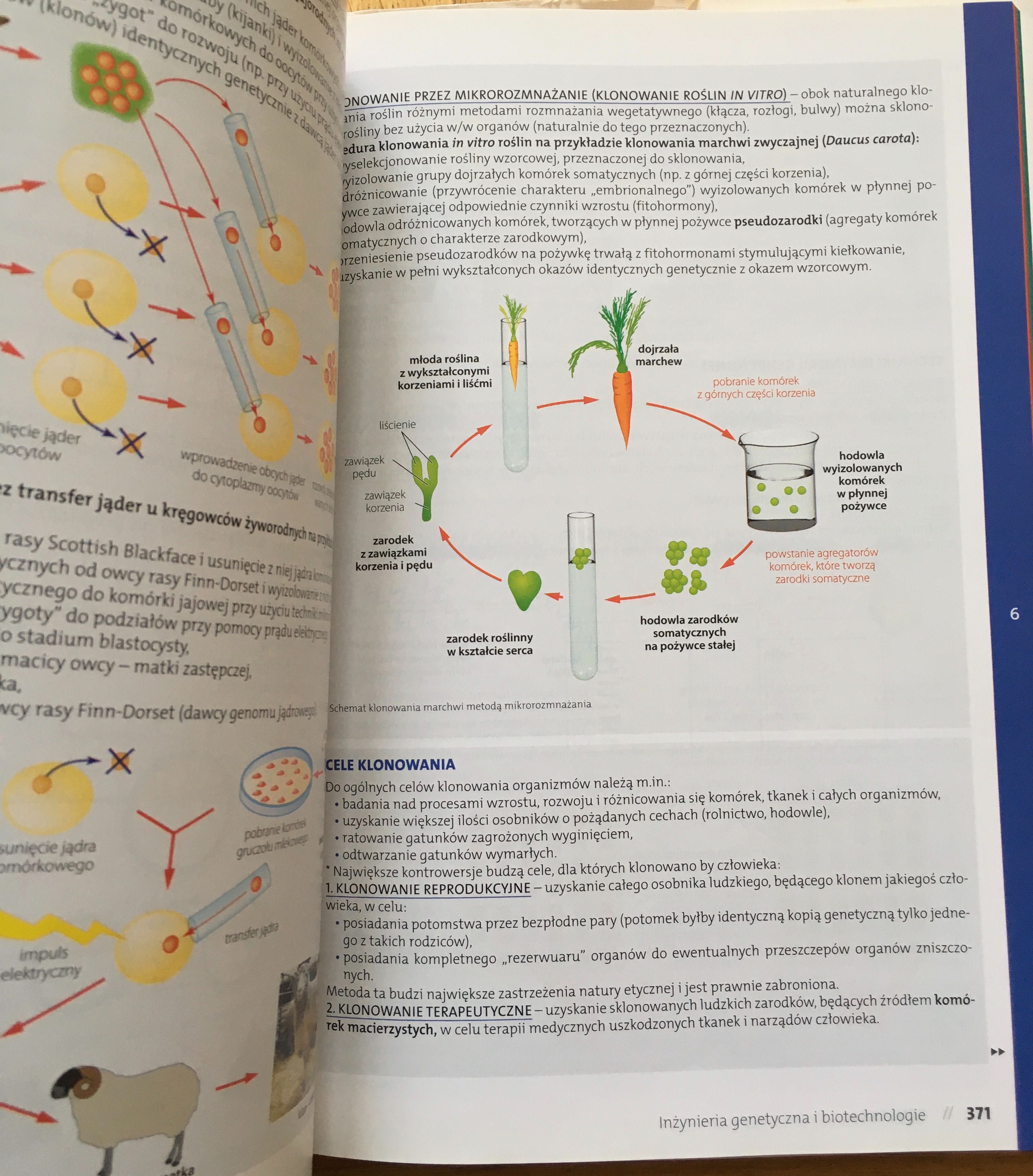 Vademecum biologia zakres rozszerzony