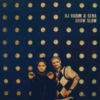DJ Vadim & Sena - Grow Slow (2xLP)