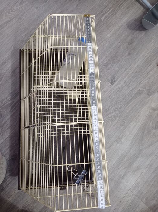Клетка для грызунов, крыс, хомяков самовивоз