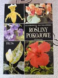 Rośliny pokojowe ilustrowana encyklopedia