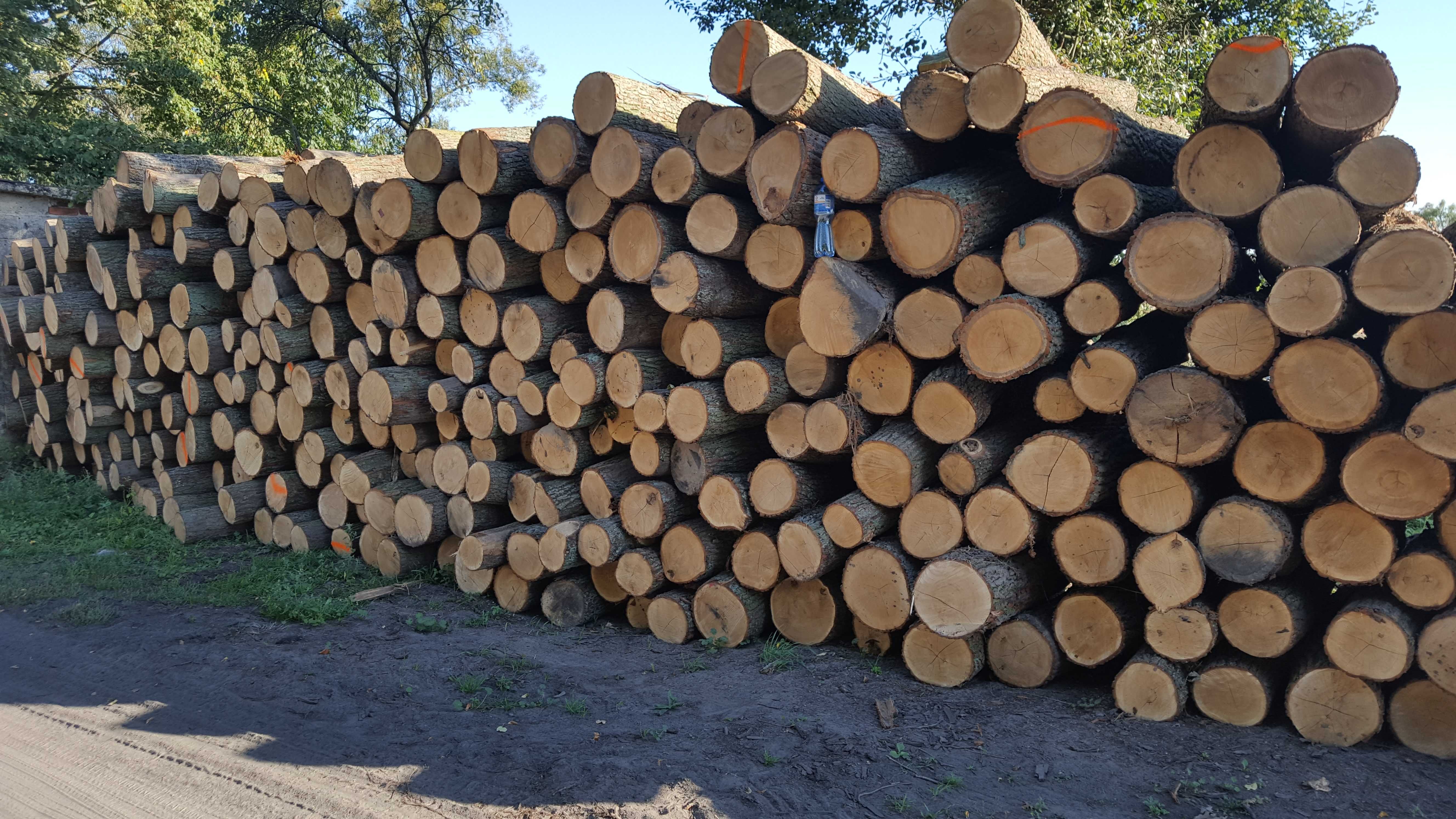 DrewKom Drewno kominkowe DĄB w kłodzie dl. 2,5m S2a S2b transport HDS