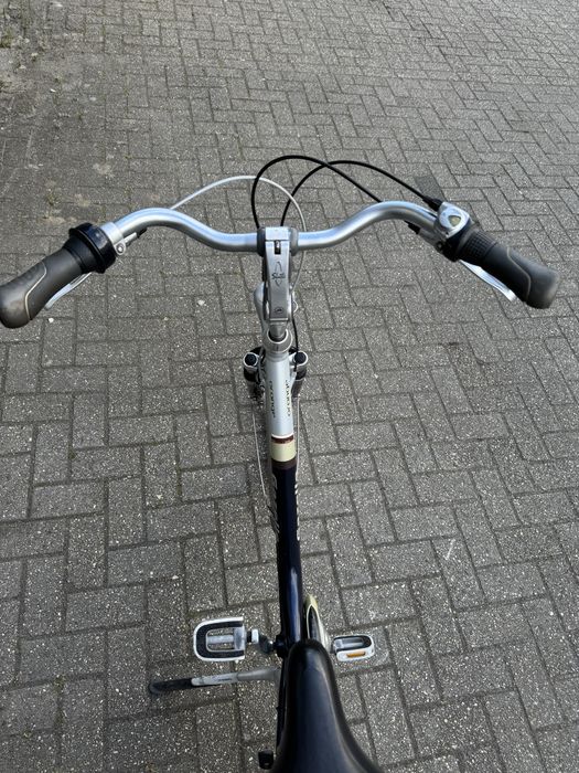 Gazelle Orange Special Design