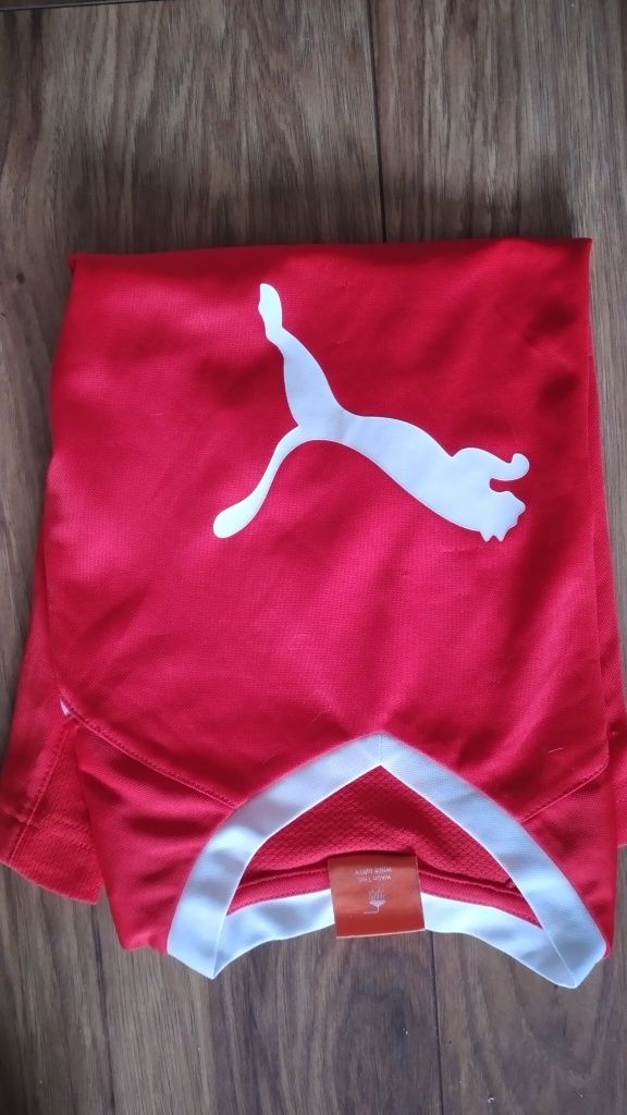 Czerwona chłopięca koszulka sportowa Puma