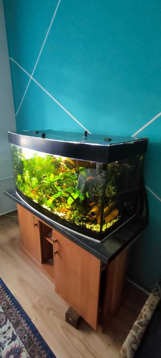 Akwarium 250 litrow