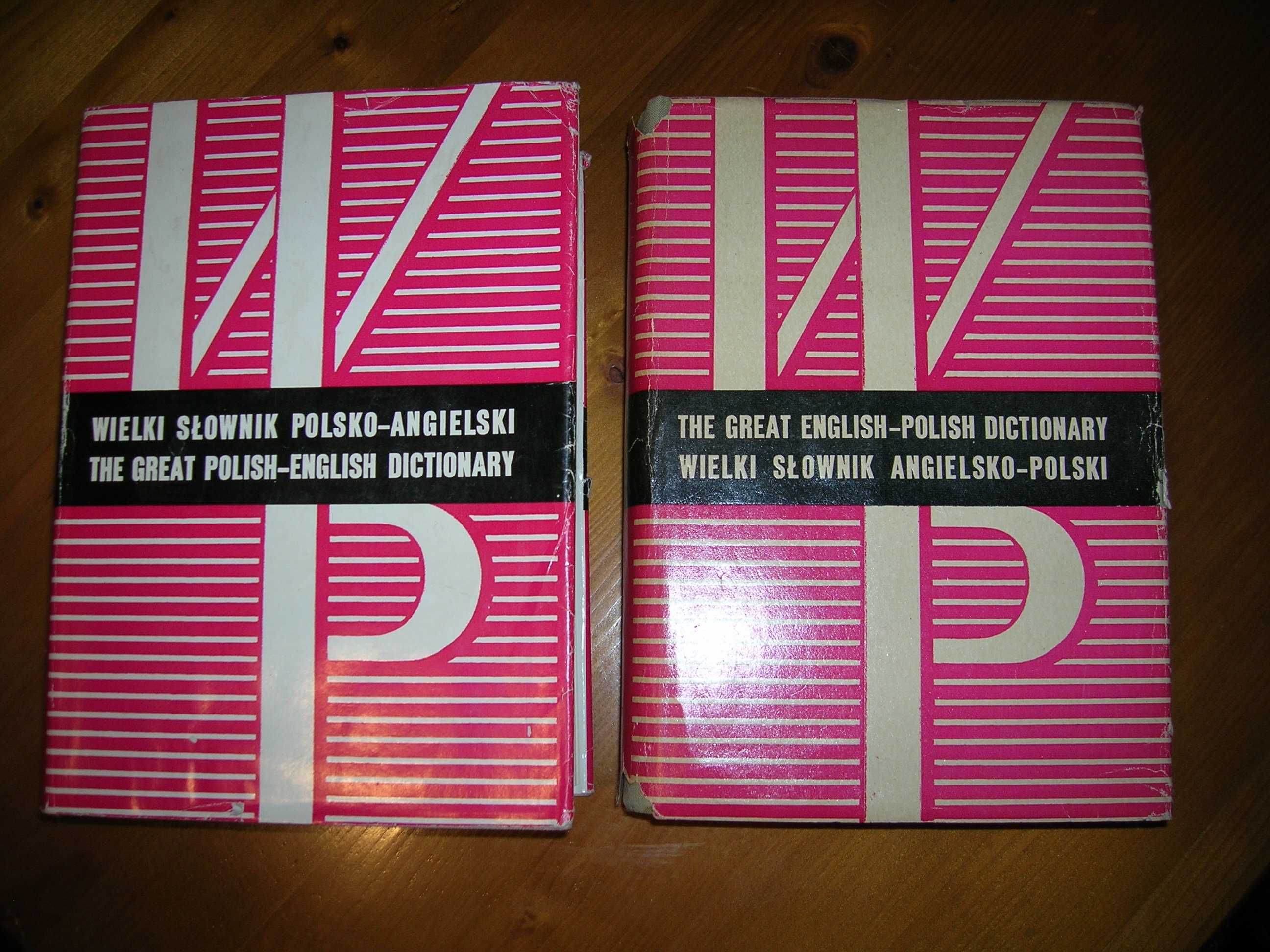 2 obszerne słowniki: angielsko-polski i polsko-angielski