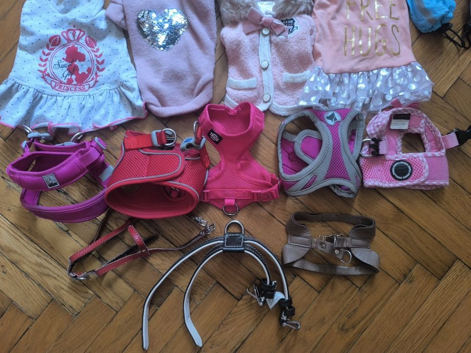 Одежда,переноска, аксессуары xs